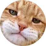 Rachmad4