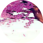 Dandi Armawan