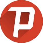 pipin028