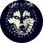 Orangecolourtube@gmail.com