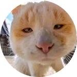 Daputa Hyangga