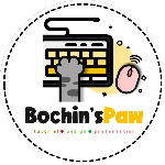 bochinspaw slides