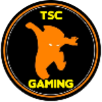 Andy TSC Gaming