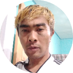 TheTomz