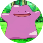 M S R