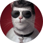 COMOT
