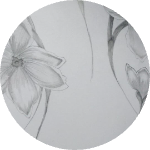 VAIX Lion18