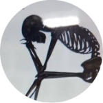 najm1