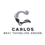 C A R L O S  BEST TUNNEL