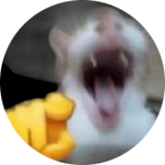Rullsaja25