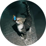 FgoKun