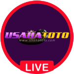 usahatoto