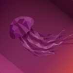 jammy-jellyfish-wallpaper.jpg