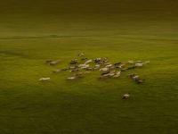 00016LightWallpaper.jpg