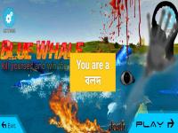 IMG 20240526 222907.jpg