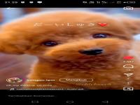 Screenshot 20240807-212523.jpg