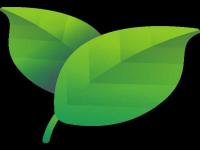 leaf.png