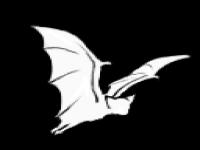 bat.png