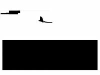 XOR Long Sasis.png