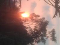 IMG 20230929 172750.jpg
