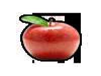 Apple.png