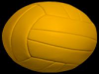 Volleyball Gold.png
