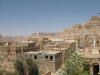 13 Tarim  10 .jpg