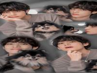BTS  6 .jpg