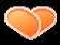 fans badge icon lv10 v0.png tplv-obj.image.png