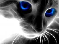 black-cat-with-blue-eyes.jpg