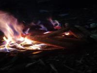 IMG-20230823-WA0014.jpeg