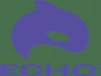 echo-logo-1119A92841-seeklogo.com.png