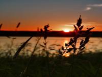evening-sunset-sun-sky-lake-grass-horizon-landscape-twilight.jpg