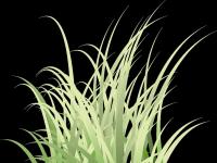 grass.png