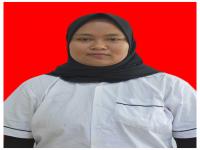 DINA.png