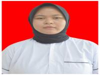 SINDI.png