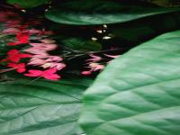 IMG-20230107-WA0066.jpg