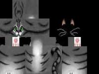 hd-warrior-cat.png