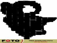 PNG - SAPI KAMBING VECTOR.png