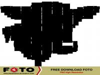 PNG - SAPI VECTOR.png