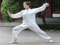 Auspicious Pattern Silk Blend Women s Traditional Chinese Tai Chi Suit.jpg