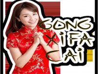gong xi.png