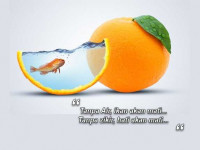 ikan.jpg