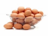 TELUR.jpg