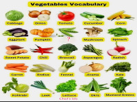 Jenis Jenis Sayur.jpg